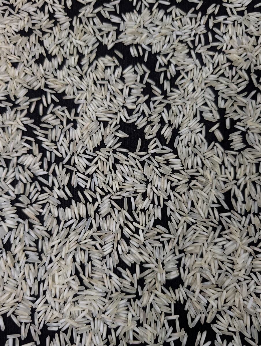 Basmati Rice Steam Rice Premium / Complete Length product sample.