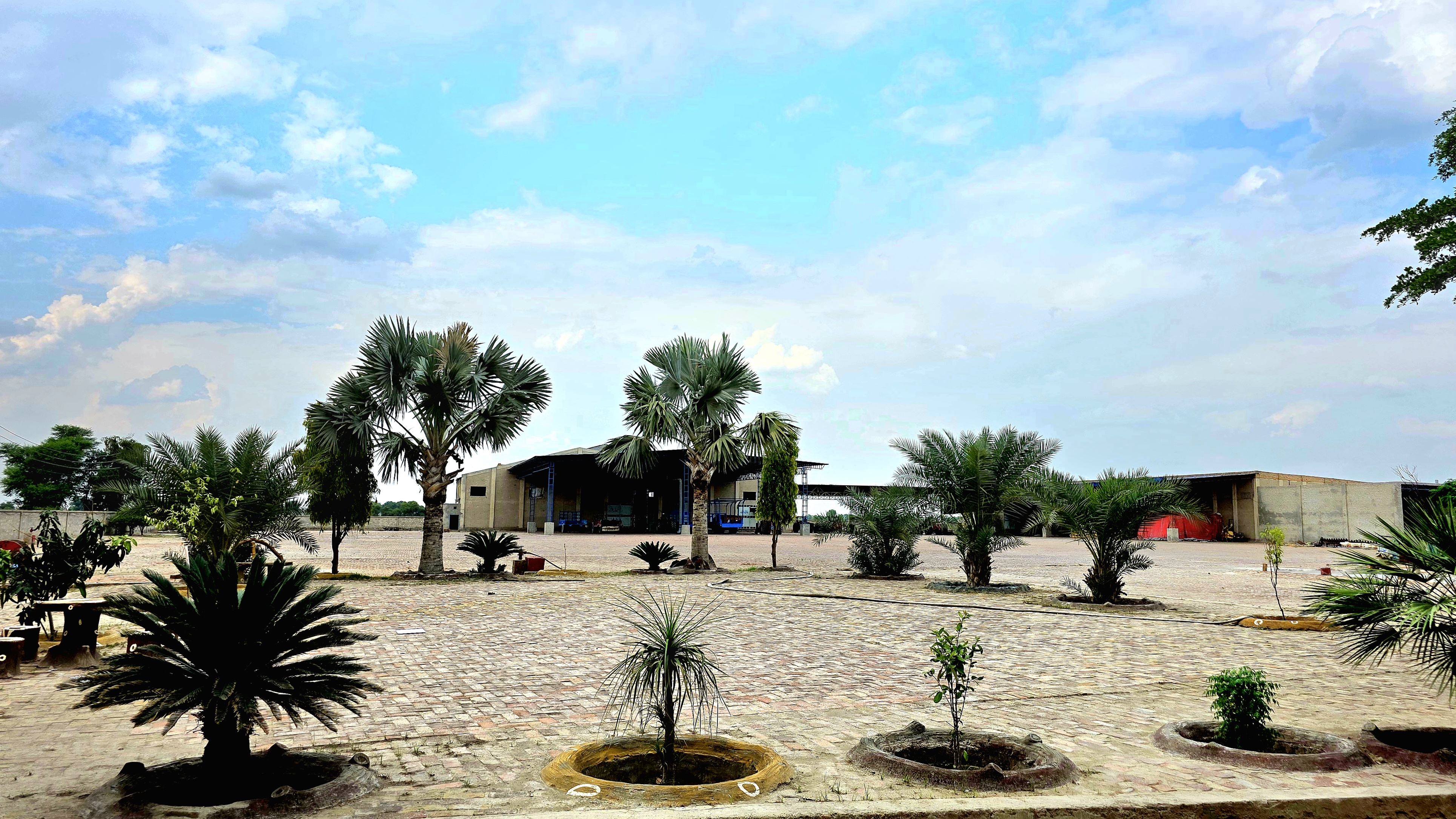 Yard and staging area at the rice mill facility.